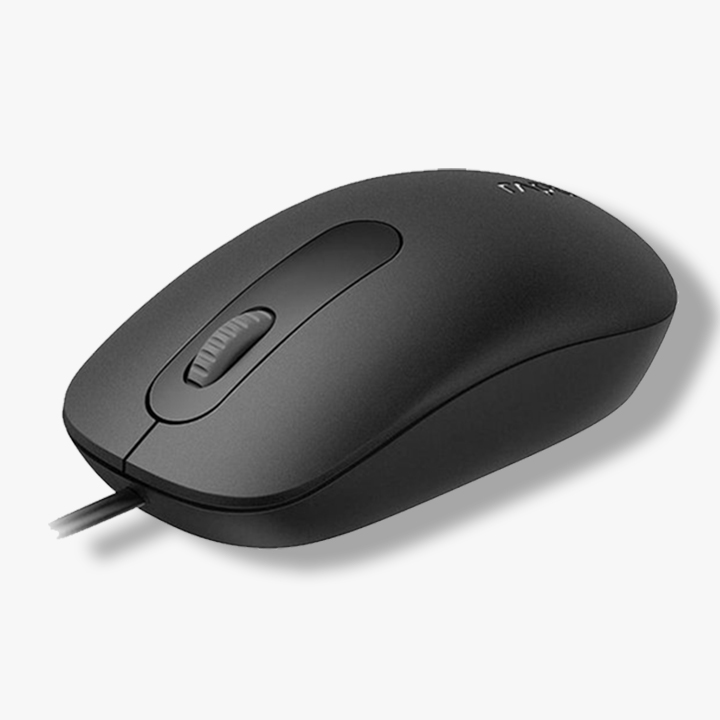 Souris Fil Optique N200 RAPOO