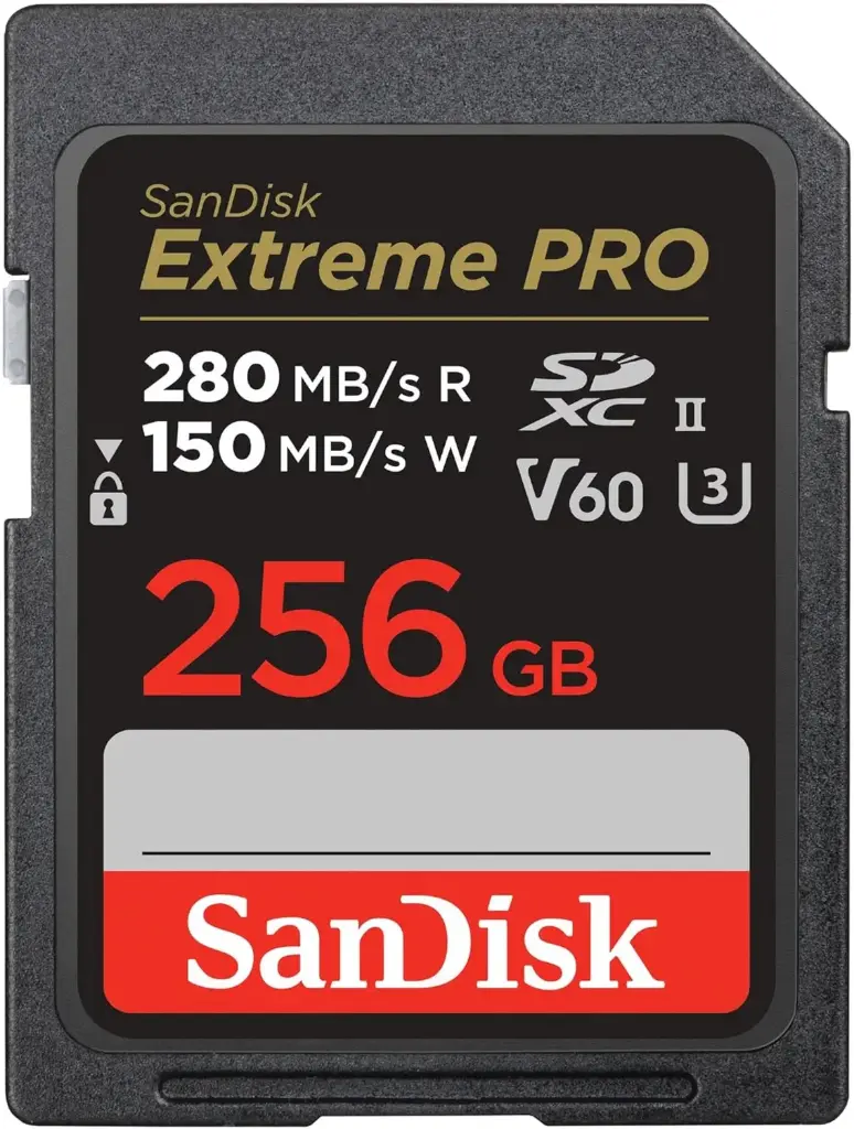 Carte memoire 256Gb SANDISK Original