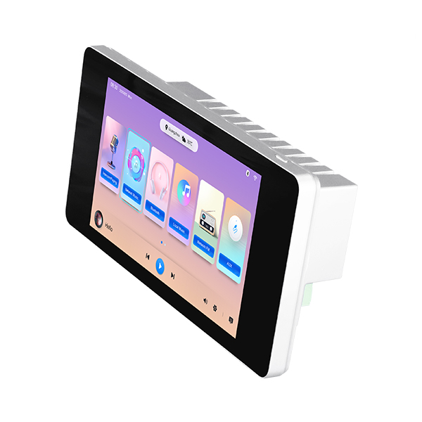 Lecteur de musique réseau avec amplificateur 2x20W