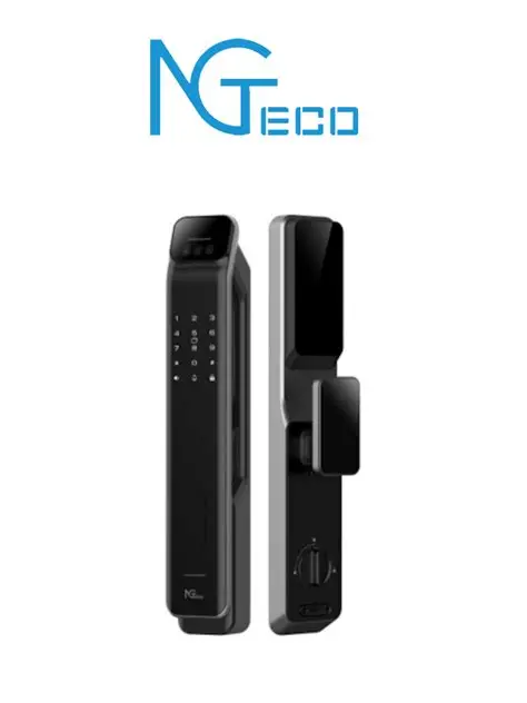 NGTeco Serreur Intelligente Avec Camera et Ecran 