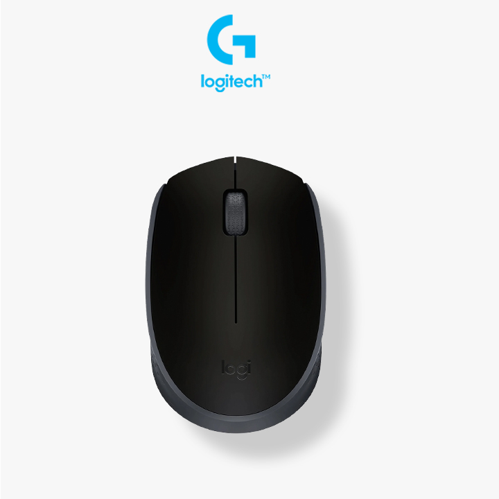 Souris Sans fil logitech M171