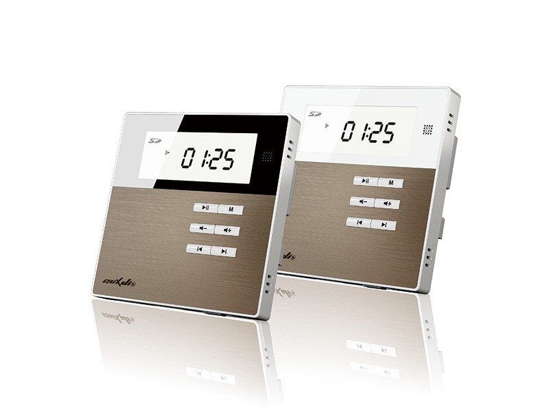 MINI AMPLIFICATEUR + HAUT PARLEUR BT/USB/FM